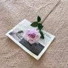 Single Rose-Purple