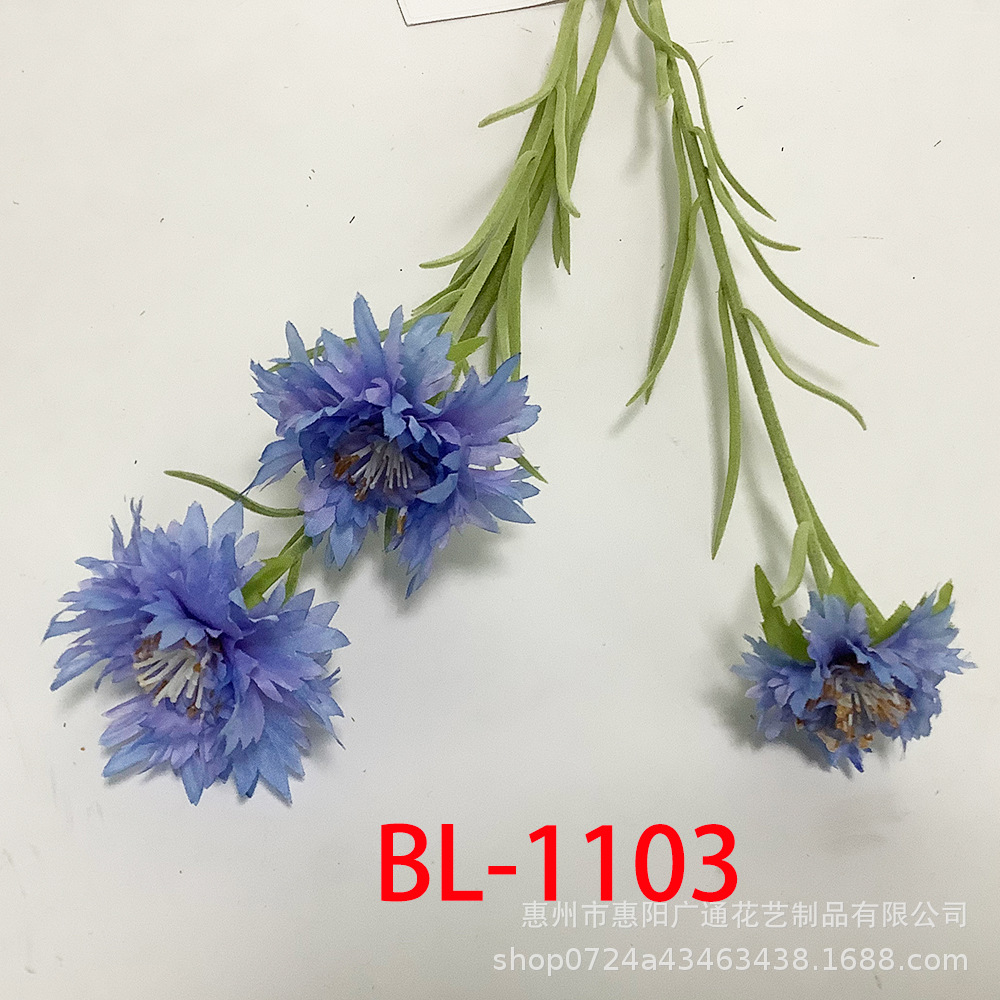 파란색 보라색