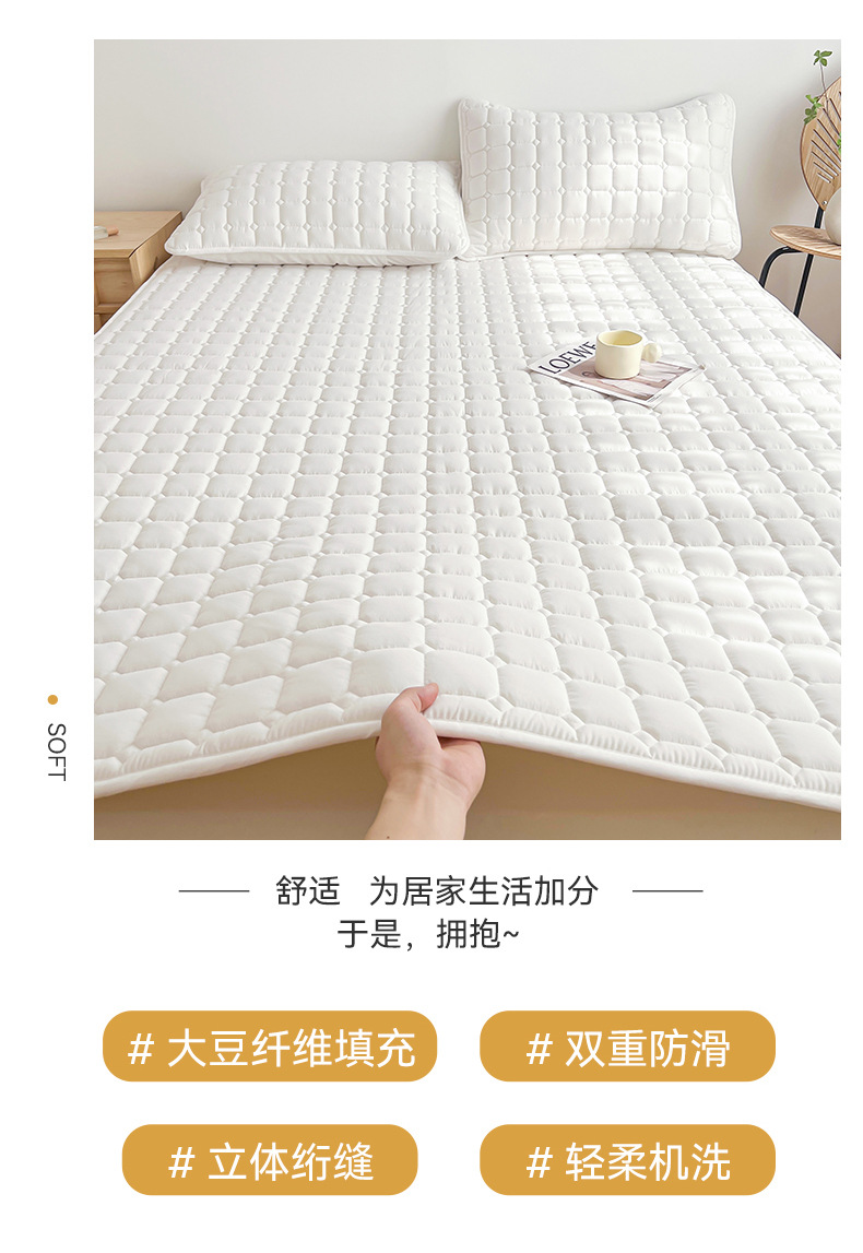 丽诺大豆床褥详情页_02.jpg