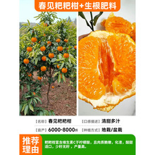 ��Ҋ��ҰҸ̘���޽ӹ���������Ә��紺Ҋ���θ̘��紺Ҋ����