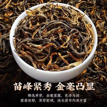 新茶叶英德英红九号红茶正宗养胃茶红茶正品特级浓香型