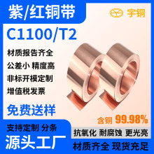 T2�b�������~�� C1100�t�~�� ���~�� �ߌ���ʸ��_99.99%����