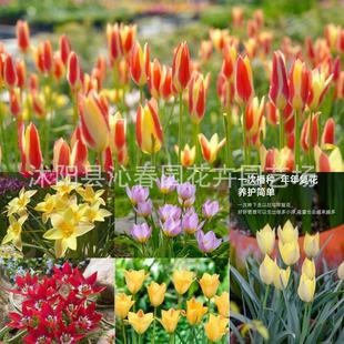 ԭ��������N��С������������ͻ����ܺ��m�M�����Ե�������ֲ��