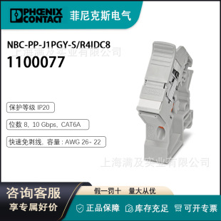 Original Genuine Phoenix Din Rail Adapter Nbc-Pp-J1Pgy-S/R4Idc8 -1100077
