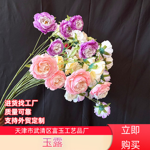 ��¶���滨õ��ĵ�������ٻ��͏d�[�O��c�Ҿ��b����l�S��ֱ�N