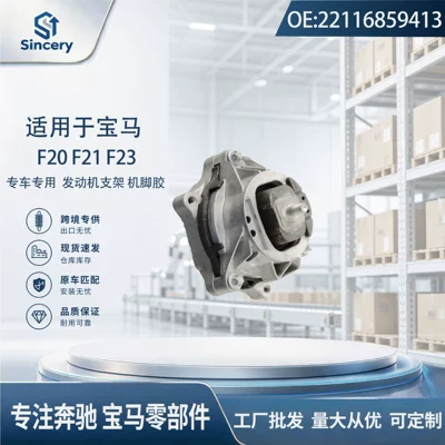Suspension and Shock Absorber Systems F20 F21 F23
