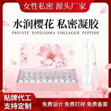 ˽�ܙѻ��aˮ�̝� �D�����z�־����ӹ� ˽̎�o�����B�坍�N�ƶ���