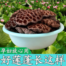 莲蓬干孕妇莲蓬壳食用莲房莲蓬头无硫莲子壳材食用去胎毒入药