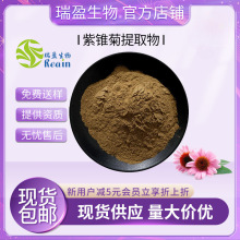 紫锥菊提取物 紫锥菊多酚 水溶性好 瑞盈现货 紫锥菊粉 包邮