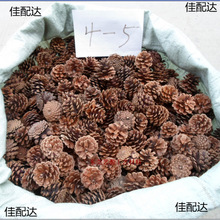 ���]�ɹ�������򱾵����~�[�ɹ����ɻ����b��Ϙ�Ƥľ�z���