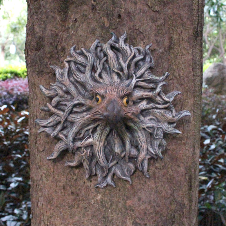 树根鹰头 (24)