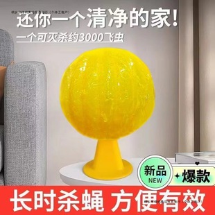 Summer Indoor Sticky Fly Ball Household Non-Toxic Dormitory Commercial Outdoor Special Plastic Material Daily Portable and Simple