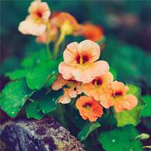 ������ɏ�N�ӡ��q�~�ۺ��ɻ��������ٻ��ܷN���̨���Դ����ﲥ�N