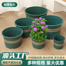 ����A��ƽ�׼Ӂ���Ӻ�Ӂ������ϻ����֬����G�}����Ӂ�����