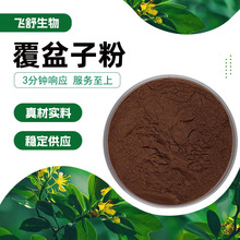 覆盆子粉 棕色粉末 易溶于水 覆盆子香 干燥避光储存 现货批发