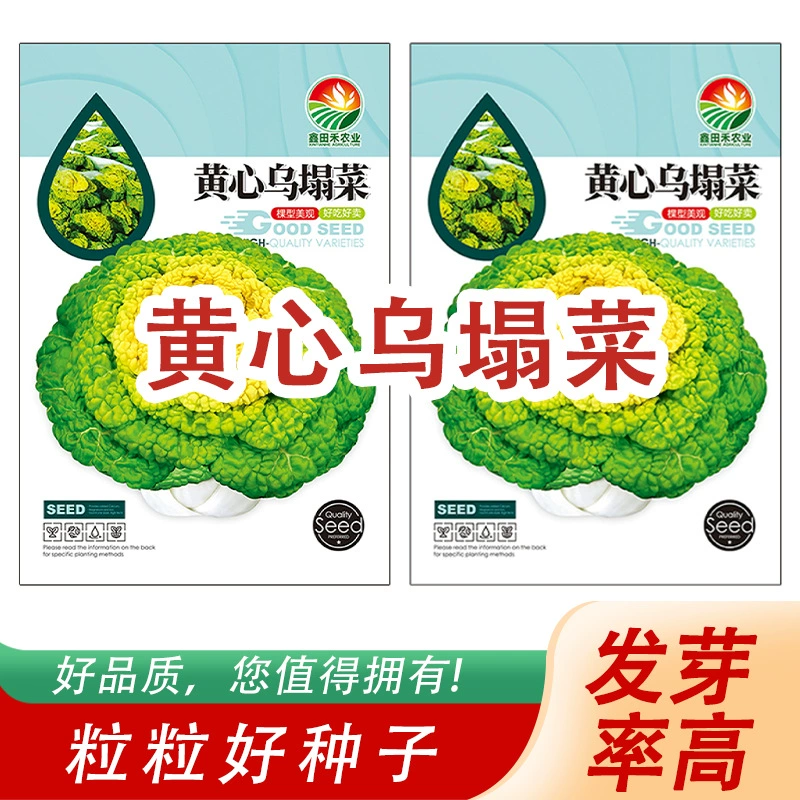 Семена овощей с желтым сердцем вкусны и освежающи. Семена овощей с желтым сердцем готовы к продаже от производителя.