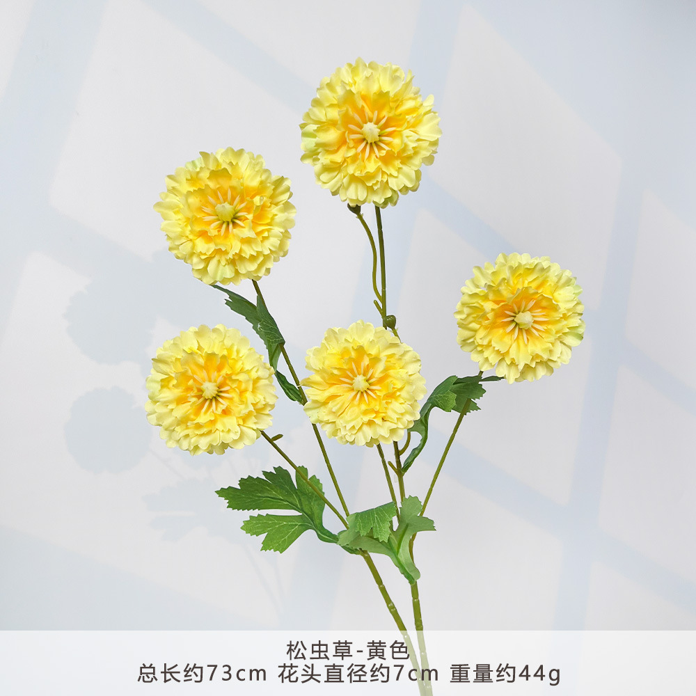 MJ-松虫草-黄色