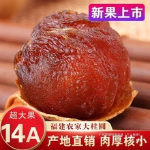 【新客特惠】福建14a莆田桂圆特优龙眼干整箱1斤大桂圆桂圆肉常温