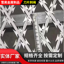 ƬKOzCεƬ̾WÇI̽zL\