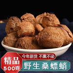 现货野生桑螵蛸中药材500g膘销桑膘硝桑飘蛸野螳螂子螳螂卵鞘批发