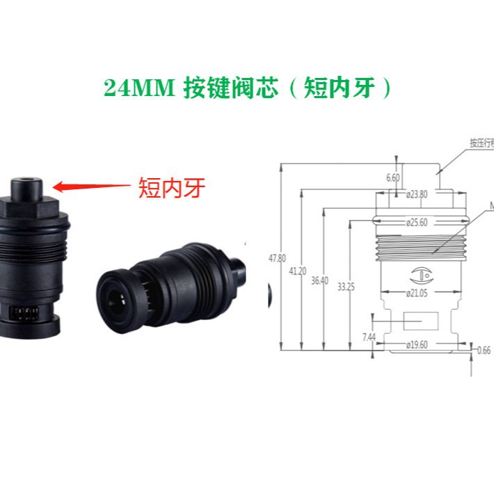 24MM 단추 짧은 안쪽 치아