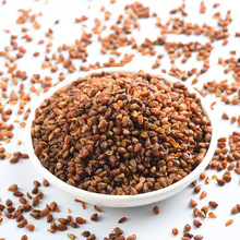 奶茶新茶饮品汤底萃取原料 三匠凉山黑苦荞胚芽茶工厂批发商用散