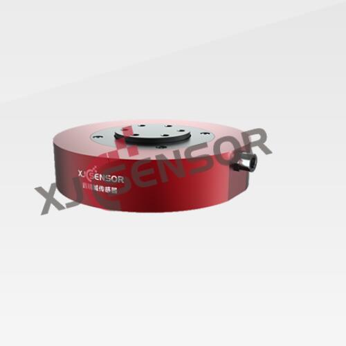 �ξ���Ť�ش�����XJC-DN-1001