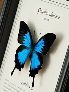 ?������˱��[�����b���Ʒ�Ҿ��{�W�����þG���P����Ϧ���նY