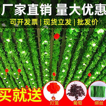 �����ٗl�Gֲ��피ٻ��G�~�b����҃�������ϾG�}���~�������~