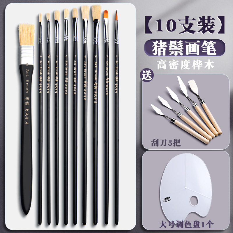 【10개입】강모 전문 세트