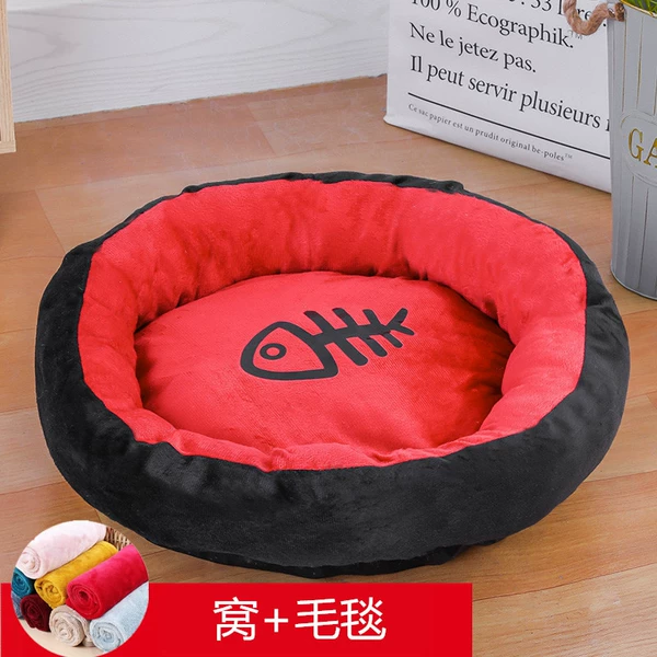Egg tart red + blanket
