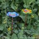 Cross-border New Lotus Plate Bird Feeder Courtyard Decoration Iron Crafts Bird Bath Plate Water Feeding Plate