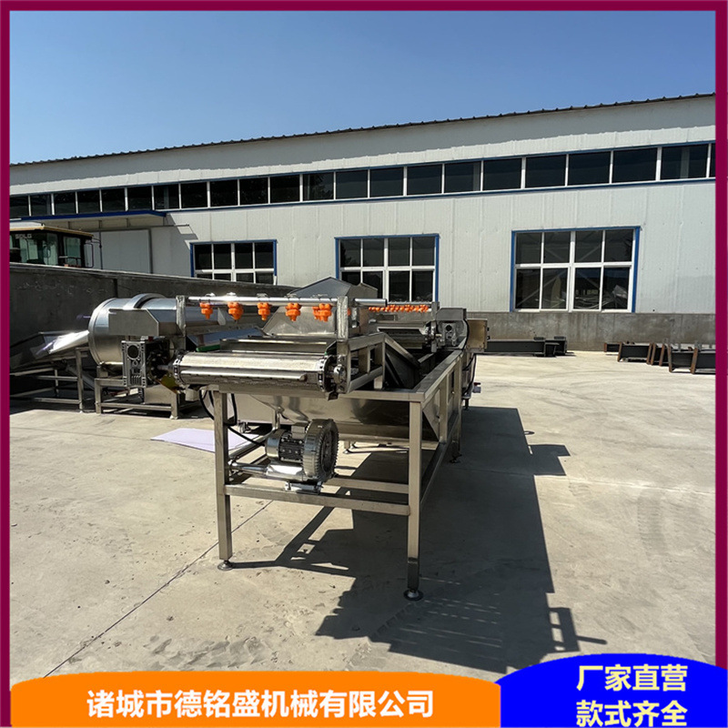 海参挂冰流水线 福建海参深加工处理设备 带鱼段挂冰包衣机