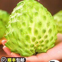 ��ȹ����r����֦5���Ŀ�P��ţ�̷��^������Ħ�������ˮ��3��S