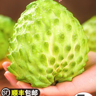 ��ȹ����r����֦5���Ŀ�P��ţ�̷��^������Ħ�������ˮ��3��S