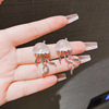 South Korean silver needle, goods, matte fashionable design earrings, trend of season