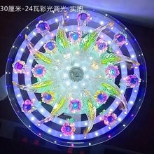 2021新款走廊灯LED过道灯玄关灯圆形客厅灯七彩水晶吸顶灯创意鱼*