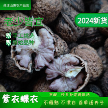 ��娼������µ��� ���H���� �ЋD�m�� ��ϴ����خa 2024��؛���]