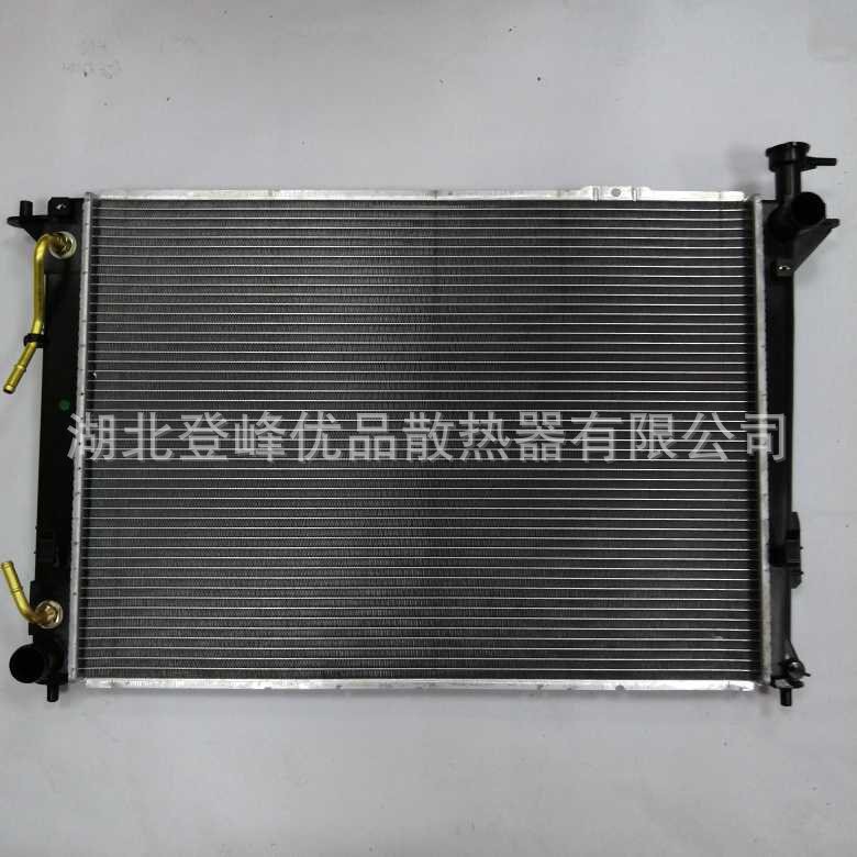 25310-2B400 工場直接供給自動ラジエーター水タンク 10 サンタフェ 2.4|undefined