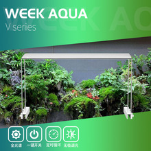 ����Ʒ��������ˮ����~���쾰���r�{��ȫ���V���PLEDˮ�֧�ܟ�