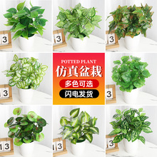 G}҃ȿ͏dk[СGֲٻb辰ļֲ