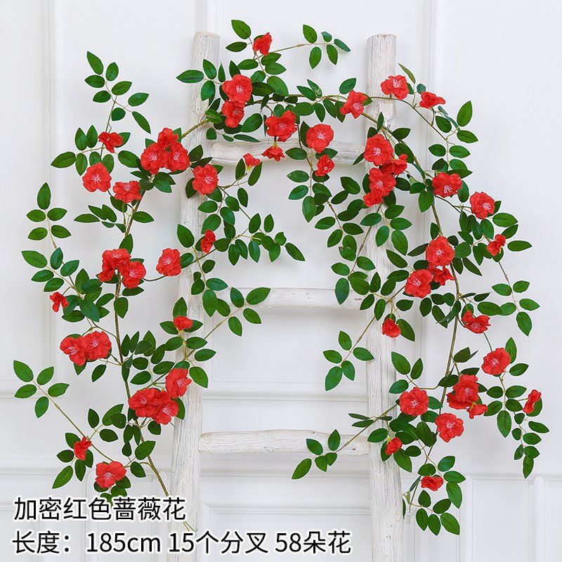 Encriptación ampliada gran rosa roja-58 flores