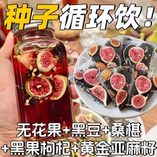 ���N��ѭ�h�衿��r��o���������Ѻڶ��B�����ɣ�ز�Ů��������