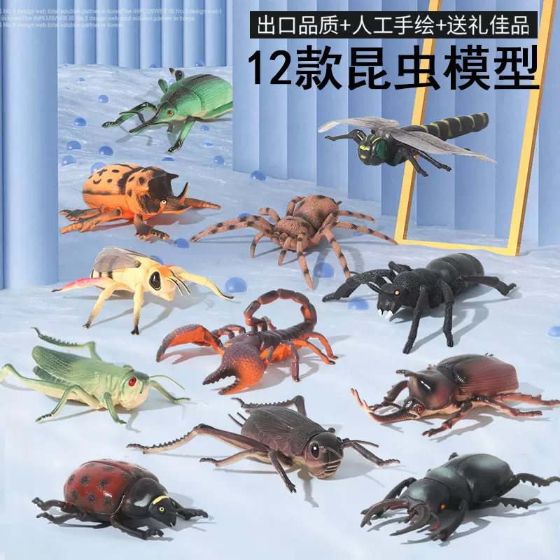 全套仿真昆虫模型真实小动物蜜蜂蜘蛛科教益智儿童模型小玩具批发