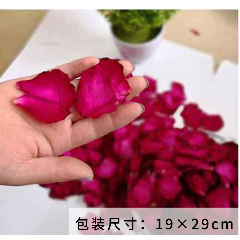 雲南工場卸売乾燥バラの花びらスパ温泉入浴入浴足湯本物の花びら 500 グラム|undefined