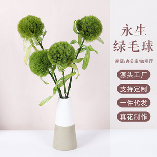 �������Gë���滨�����������ֱ�ldiy�ɻ�����������Ĳ廨�b�