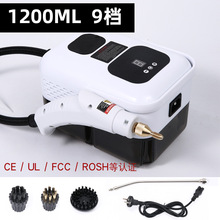 跨境新款数显110V高温蒸汽清洗机便携式蒸汽机杀菌消毒蒸汽清洁机