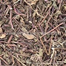 ��ș�ě��۲��ɲ����˲����˃� ÿ��500�� �����Ĕz��Ѭ��