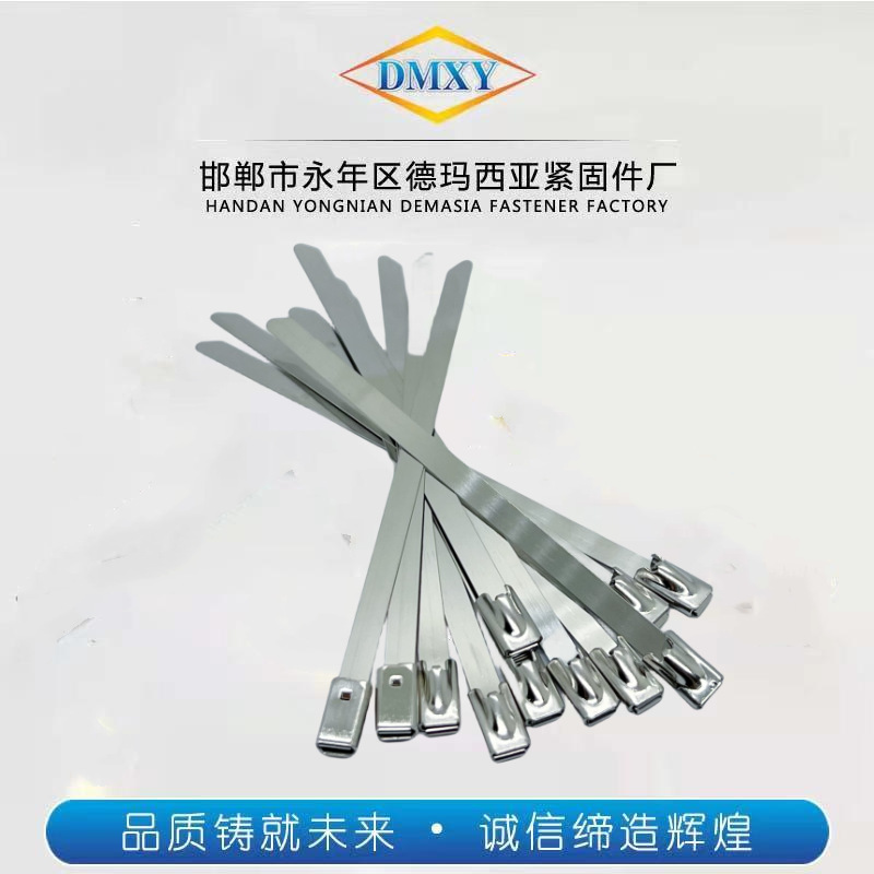 304不锈钢扎带金属强力卡扣户外船用耐腐电线桥架自锁式收紧