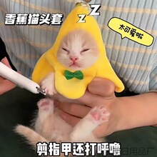 香蕉猫mini头套可爱猫咪摆拍道具头套毛绒玩具香蕉猫幼猫安抚公仔